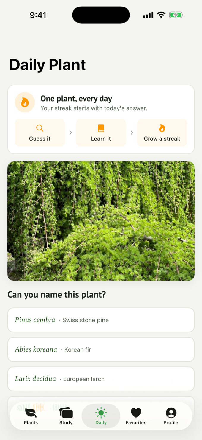 One plant, every day